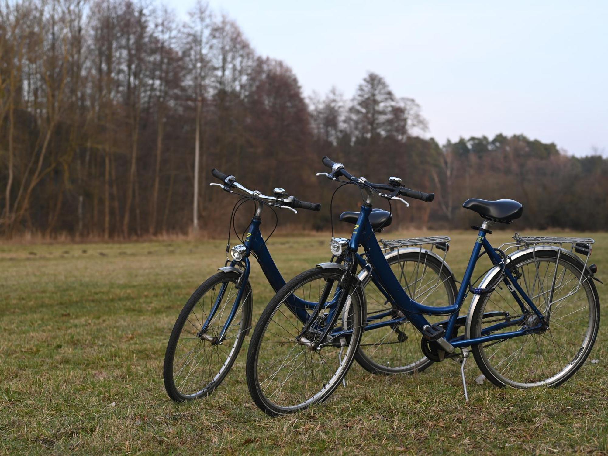 Ferienhaus-Park Brennickenswerder Lychen Luaran gambar